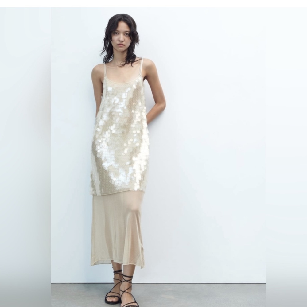 Zara Sequin Dress